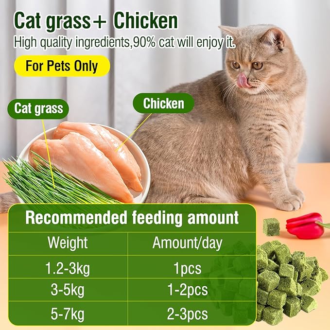 50g Cat Grass Teething Treat, Delicious Cat Grass Teething Snack Edible Cats Chew Toy for Teeth Cleaning and Hairball Removal