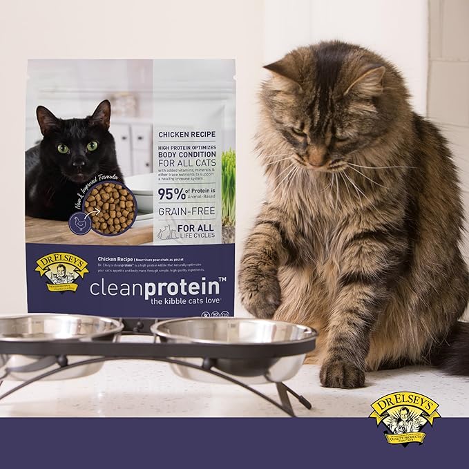 Dr. Elsey's cleanprotein Chicken Cat Kibble 6.6 lb. Bag