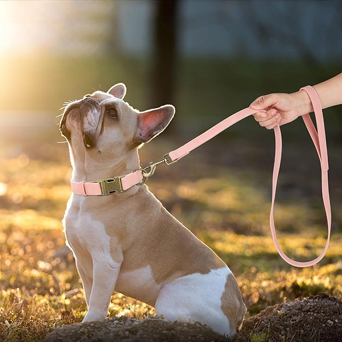 Didog Soft PU Leather Dog Collar, Stylish Quick Released Dog Collars for Medium Dogs, Easy Clean Adjustable Pet Collar for Daily Walking, Pink, M Fit 13-21" Neck