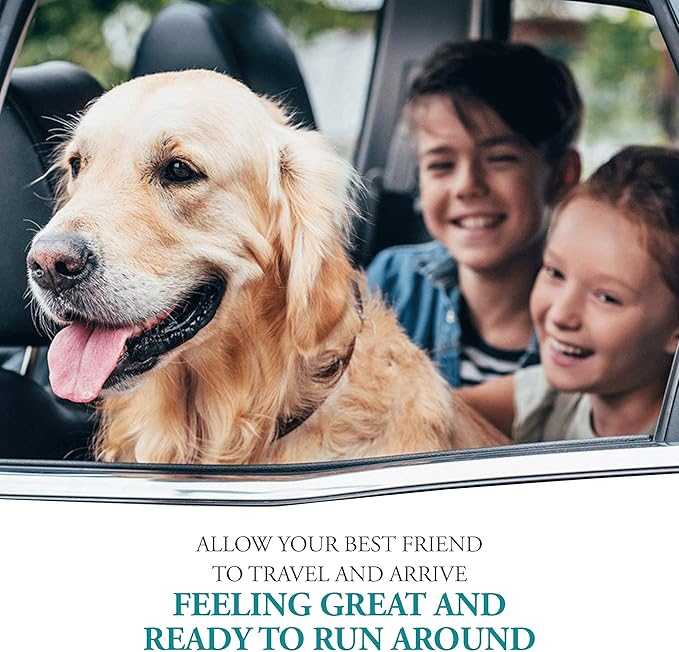 Anti-Motion Sickness and Nausea Relief for Small Breed Dogs, Relief for Disorientation and Dizziness, 10 Tablets