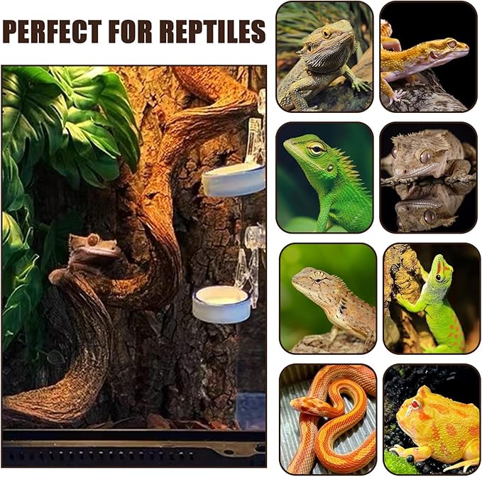 BNOSDM 3Pcs Reptile Climbing Branches Decor,Snake Climbing Branch,Gecko Climb Wood,Lizard Forest Branch,Tank Habitat Tree Trunk Decorations for Bearded Dragons,Chameleons,Spider,Frogs (M)