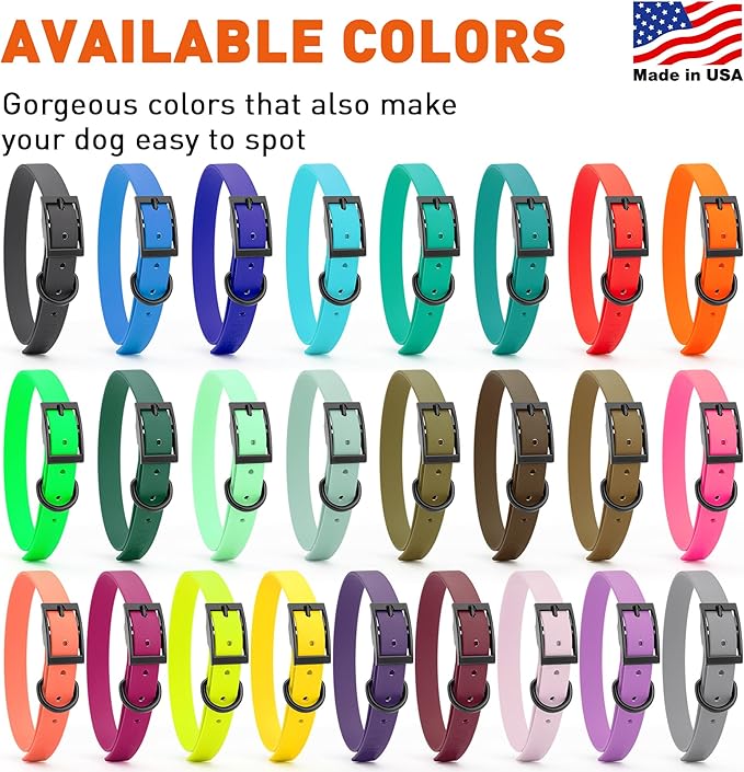 Dogline Biothane Waterproof Dog Collar Strong Coated Nylon Webbing with Black Hardware Odor- Proof for Easy Care Easy to Clean High Performance Fits Small Medium or Large Dogs, Sky Blue