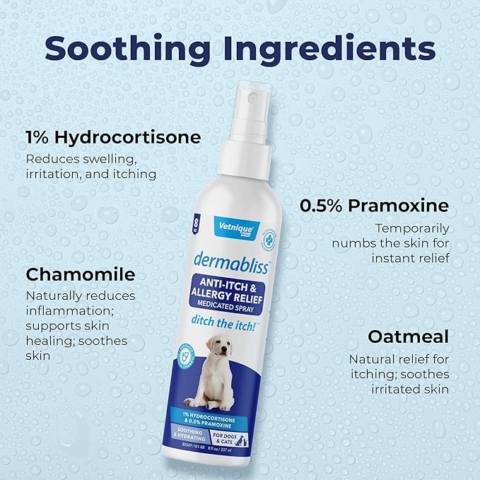 Vetnique Dermabliss Anti Itch Spray for Dogs & Cats with Hydrocortisone for Allergies and Immediate Dog Itching Skin Relief - Fragrance Free with Soothing Oat Extract (8oz)
