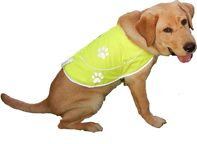 Dog Reflective Vest - Comfortable Jacket Safety Hunting, High Visibility for Dogs with Elastic Straps and Clasp Closure- Orange,X- Large