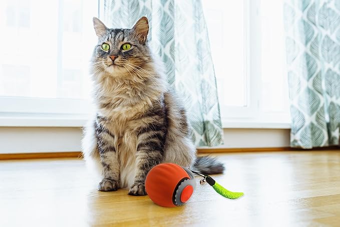 Smart Speedy 3.0 Interactive Cat Ball with Auto Obstacle Avoidance - Indoor Kitten Toy for Mental Stimulation & Playtime Fun ，2025 Edition (Orange)
