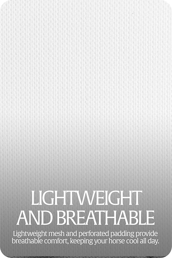 Equinavia Algard Soft Mesh Horse Fly Mask with Ear Protection and 45 UPF Rating | No Eye Irritation & UV Protection - Silver - Cob