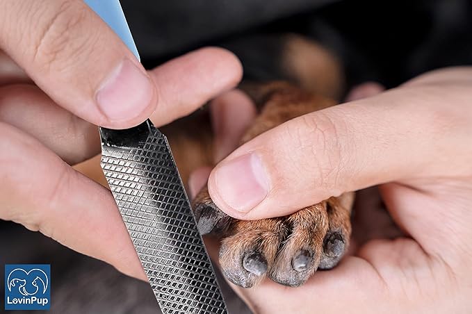 Dog Nail Filer, Professional Nail Grooming Tool, Dog and Cat Nail Files, for Smoothing Rough Edges of Pet’s Nails, Best Nail Filer for Small/Large Dogs & Cats (1 Dog Nail Filer)