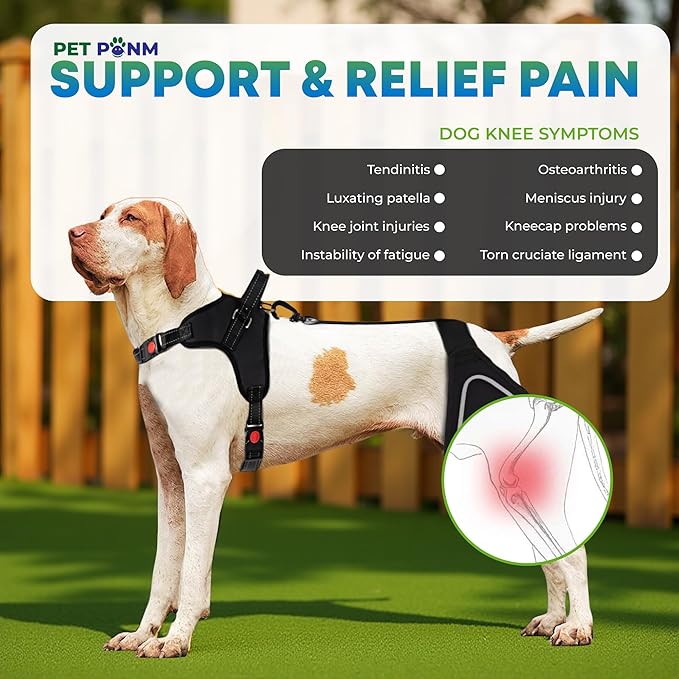 Dog ACL Knee Brace for Back Left Leg - with Integrated Harness - for Cruciate Ligament Injuries, Patellar Luxation, Post-Surgery Recovery. Durable, Breathable Material, Eases Pain - (XSmall)