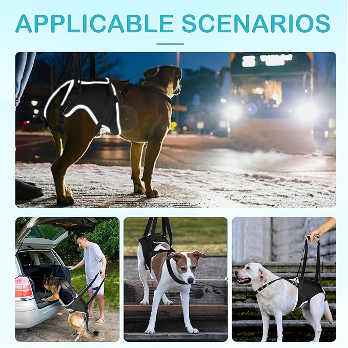 Dog Hip Support Brace – Rear Leg Lift Harness for Mobility & Post-Surgery Recovery, with Chest Straps and Adjustable Elastic Buckles, Customization