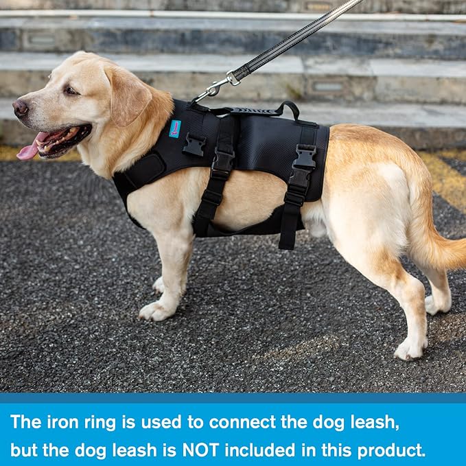 Dog Lift Harness, Rehabilitation Lifts Vest for Dogs, Support & Recovery Sling, Adjustable Breathable Lifting Straps for Old, Joint Injuries, Arthritis, Paralysis Dogs Walk (M, Black)
