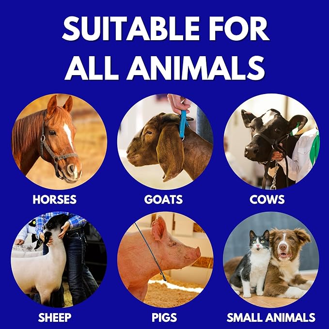 Show Out Skin & Scratches 4 oz Concentrate - Fast Relief and Prevention for Horse Care. Use on Equine Scratches/Mud Fever, Girth Itch, Mange, Thrush, Rain Rot, Ringworm, etc w/Empty Spray Bottle