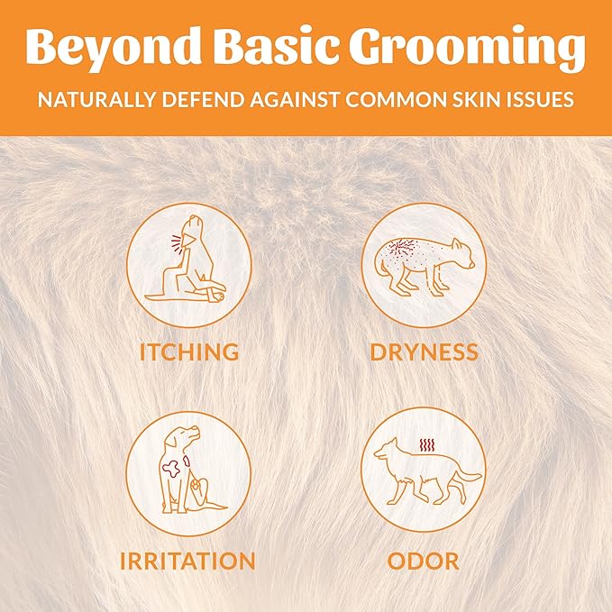 SKOUT'S HONOR Probiotic Pet Deodorizer Spray- Hydrating Daily-Use with Avocado Oil & Omega-3s, Microbiome Friendly Certiified, Paraben & Sulfate-Free, 97% Natural, 8oz, Honeysuckle, 2-Pack