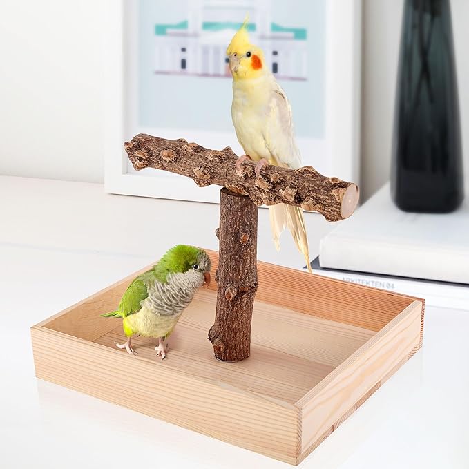 Bird Perch, Portable Tabletop Bird Stand, Training Play T Shaped Stand for Parrot Parakeet Cockatiels Conures Budgies Finch Lovebirds