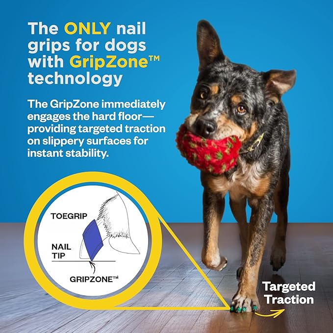 Dr Buzby's XLarge ToeGrips for Dogs - Instant Traction on Wood/Hardwood Floors - Anti Slip Relief - Grippers for Senior Dogs - Stop Sliding Instantly - Rubber Nails for Paws - 1 Pack (20 Grips)