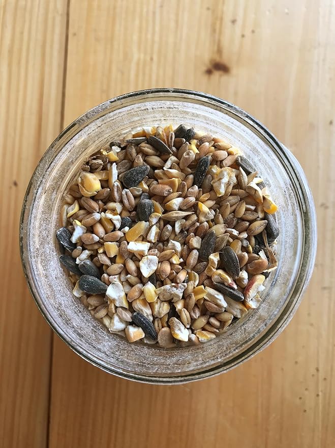 Ernst Grain & Livestock Bird and Wildlife Feed – Perfect for Birds, Ducks, Squirrels, Turkeys, Rabbits, Geese, and Deer – Non-GMO Wild Animal & Bird Feed for Outside Feeders - 10lbs