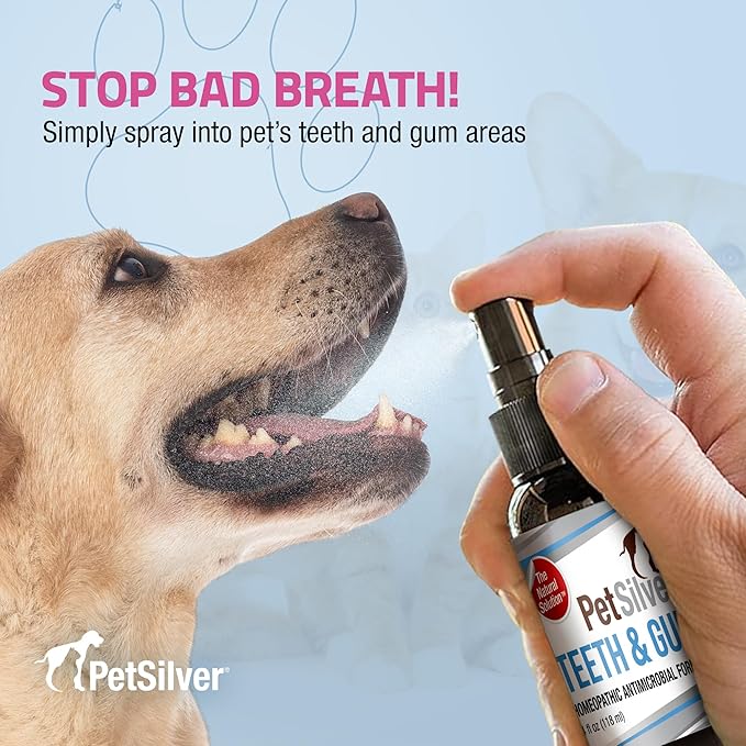 PetSilver Teeth & Gum Spray - Dog Dental & Teeth Cleaning Spray for Plaque & Tartar Build-Up Reduction - Natural Breath Freshener for Dogs and Cats - Patented Chelated Silver - Made in The USA - 4 oz