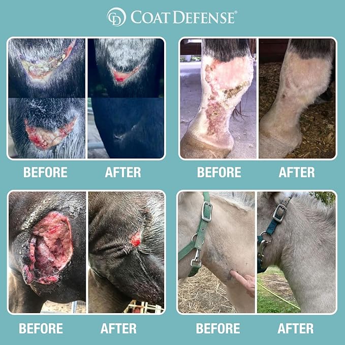 COAT DEFENSE Trouble Spot Drying Paste for Horses - Natural Equine Wound Care That Provides Safe & Effective Relief from Scratches, Sweet Itch, Summer Sores, Proud Flesh, Mud Fever, Girth Rot (10 Oz)