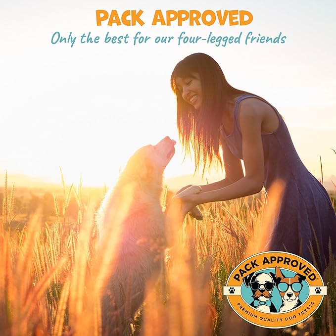 Chicken Wrapped Rawhide Beef Sticks - Long Lasting Chews for Aggressive Chewers - Treats for Large Dogs - XL (Pack of 2)