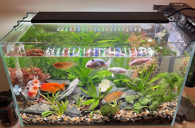Advanced 7-Row LED Aquarium Light, Easy Setup Controller, Auto On Off Full Spectrum Fish Tank Light, 24/7 Lighting Cycle, 8 Colors, 10 Level Dimming, 40W for 30"-36" Freshwater Planted Tank