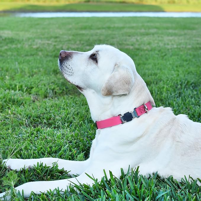 Dogline Biothane Waterproof Dog Collar with Herm Sprenger Black Stainless Steel Quick Release Buckle – Heavy Duty Tactical Durable Collar for Dogs – Comfortable and Safe Pet Collar W 1" L 15-25" Pink