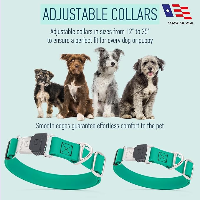 Dogline Biothane Waterproof Dog Collar with Herm Sprenger Stainless Steel Quick Release Buckle – Heavy Duty Tactical Durable Collar for Dogs – Comfortable and Safe Pet Collar, W 3/4" L 12-19", Teal