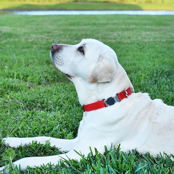 Dogline Biothane Waterproof Dog Collar with Herm Sprenger Stainless Steel Quick Release Buckle – Heavy Duty Tactical Durable Collar for Dogs – Comfortable and Safe Pet Collar, W 3/4" L 12-19", Red