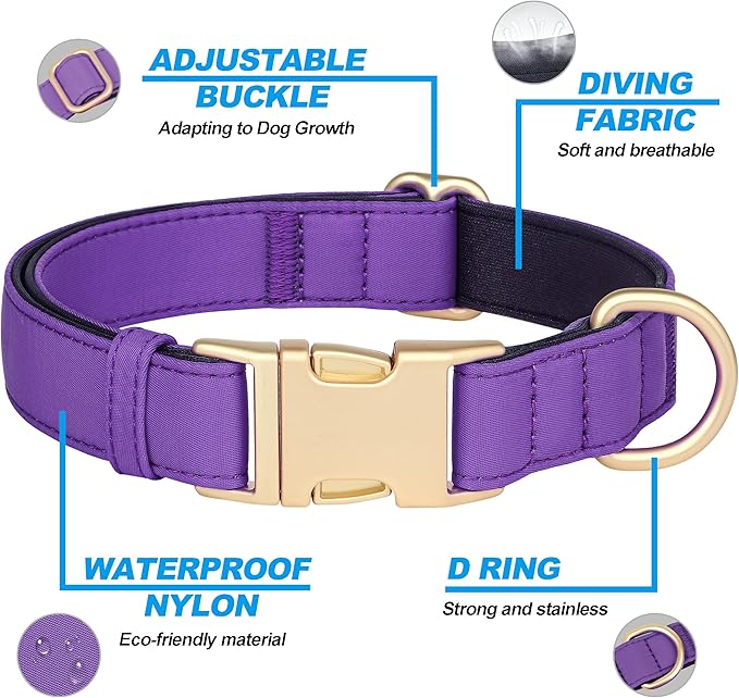 Didog Soft Padded Dog Collars for Small Dogs, Colorful and Durable Dog Collar with Quick Release Buckle, Light and Breathable for Daily Walking, Purple, S