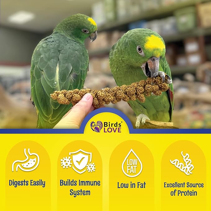 Birds LOVE Spray Millet – 9 oz GMO-Free, No Stems (Only Edible Tops) – Healthy Treat for Parakeets, Cockatiels, Finches, Canaries & Lovebirds
