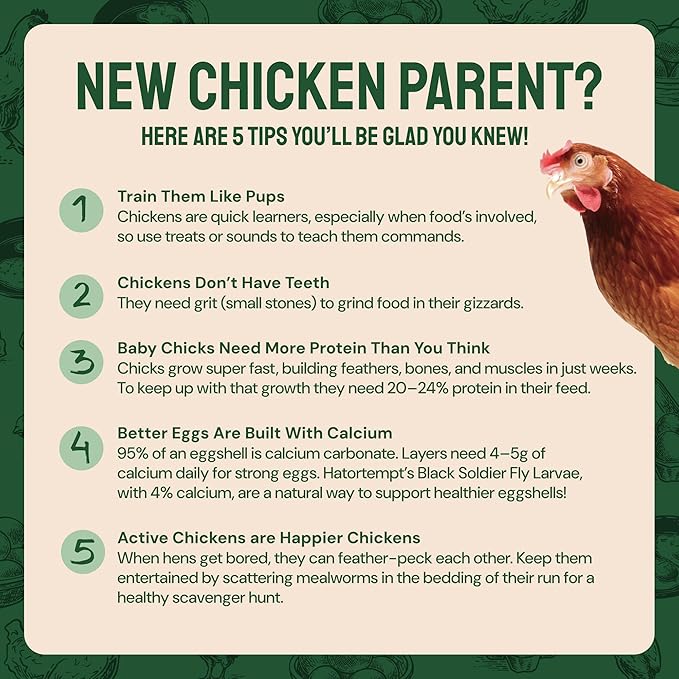 Chicken Feed Dried Mealworms - 5 Lb, Non-GMO & Organic - High-Protein Mealworms for Wild Birds & Ducks, Chicken Treats & Bird Food