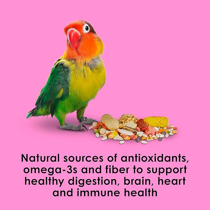 Kaytee Fiesta Big Bites Small Parrot & Conure Food, Nutritious and Fun Blend, Supports Skin, Feather, Digestion, Brain and Heart Health, 4 pounds