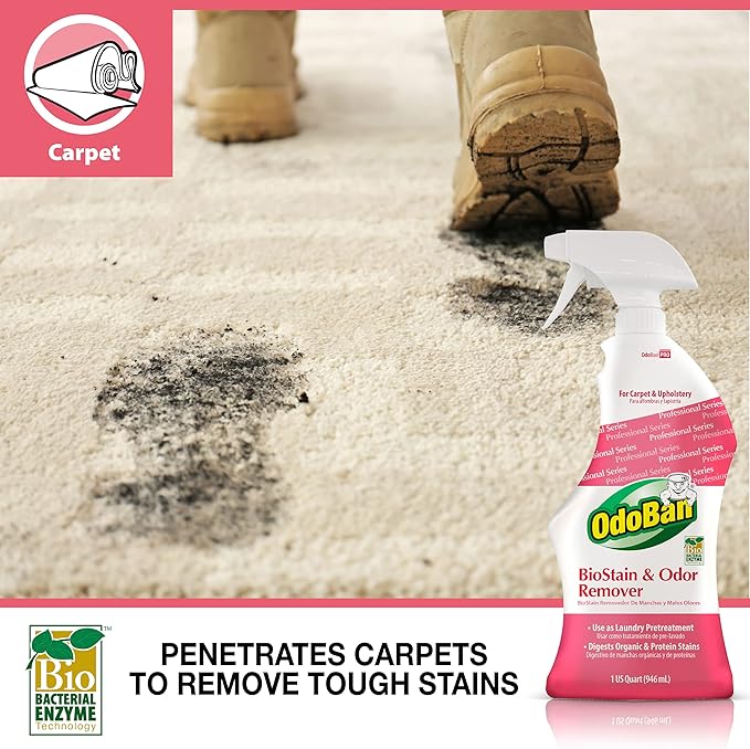 OdoBan Professional Cleaning and Odor Control Solutions, Ready-to-Use Biostain and Odor Remover, Made in the USA, 32 oz Spray Bottle and 1 Gallon