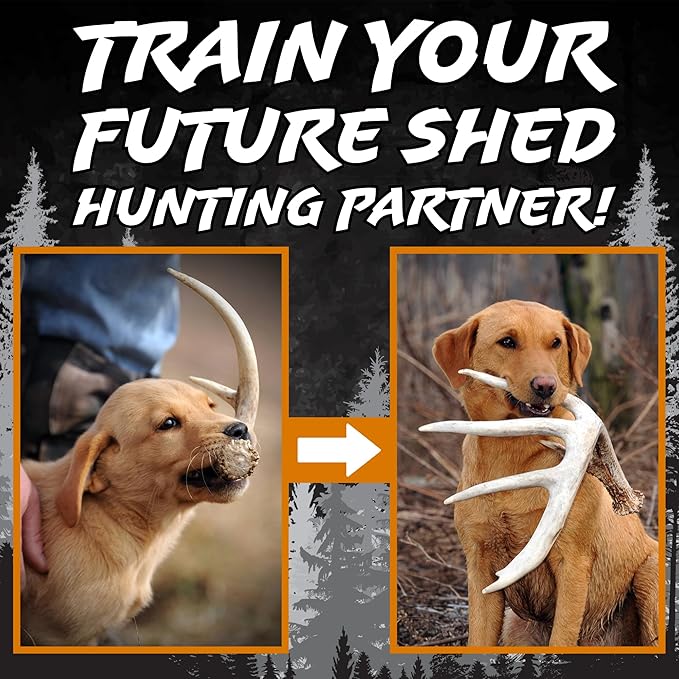 DogBone Shed Hunting Dog Training Kit – Train Your Puppy to Find Deer Antlers - Includes 2 oz Scent for Nosework & Flexible Floating Dummy for Retrieving - Perfect for Whitetail Hunters
