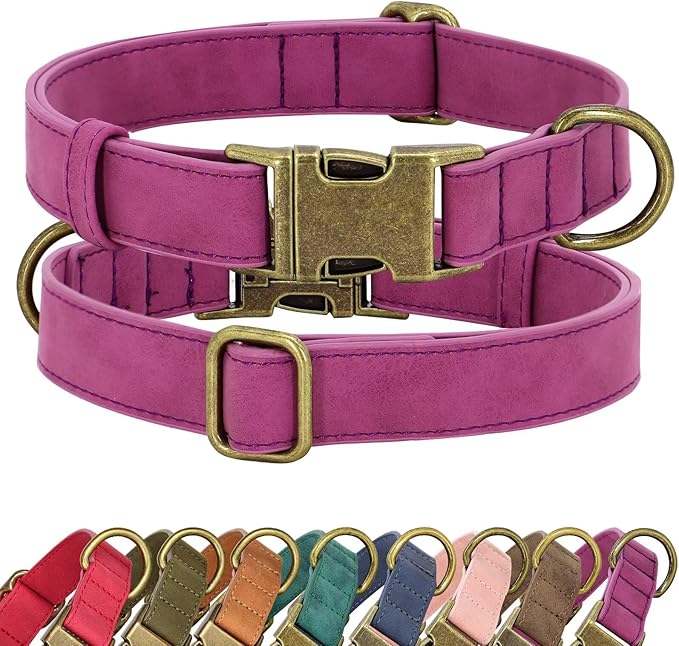 Didog Soft PU Leather Dog Collar, Stylish Quick Released Dog Collars for Medium Dogs, Easy Clean Adjustable Pet Collar for Daily Walking, Purple, M Fit 13-21" Neck