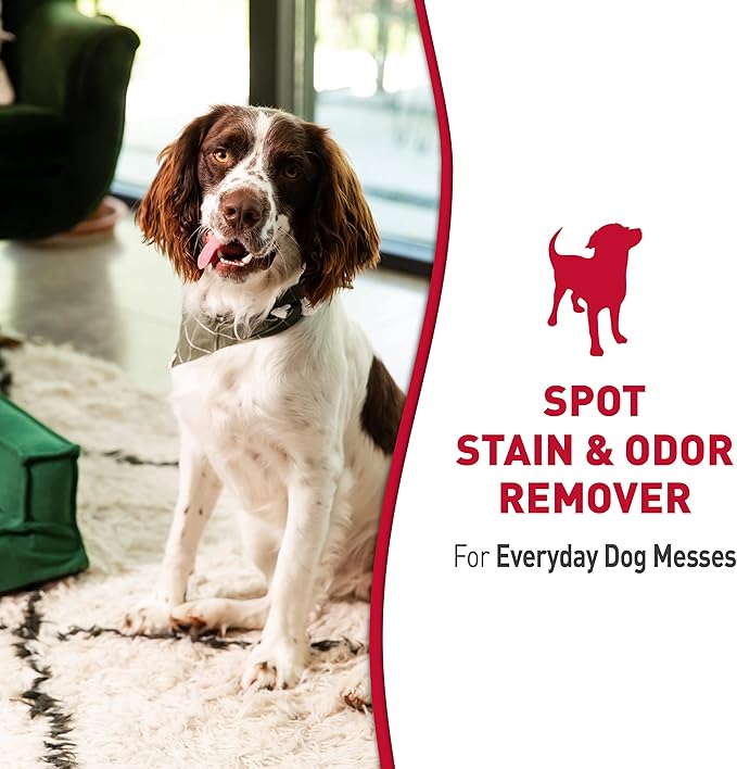 Nature’s Miracle® Stain & Odor Remover, Tough on Dog Urine, Feces, Vomit, Drool and Other Organic Stains and Odors, 1 Gallon