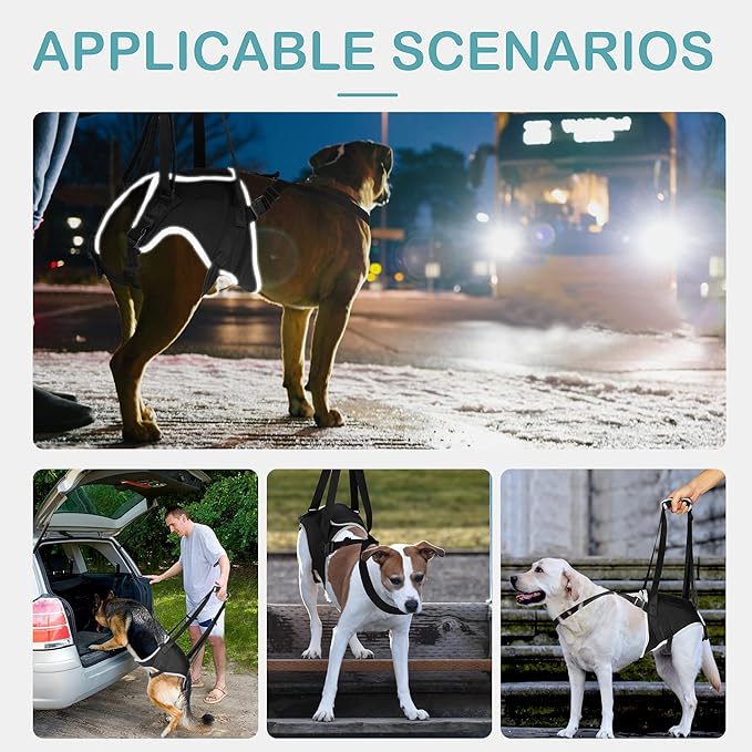 Dog Lift Harness for Large Dogs – Hind Leg Support Sling for Muscle Atrophy, Joint Pain, and Senior Pets, Adjustable Design Helps with Walking, Stairs, and Daily Mobility, L