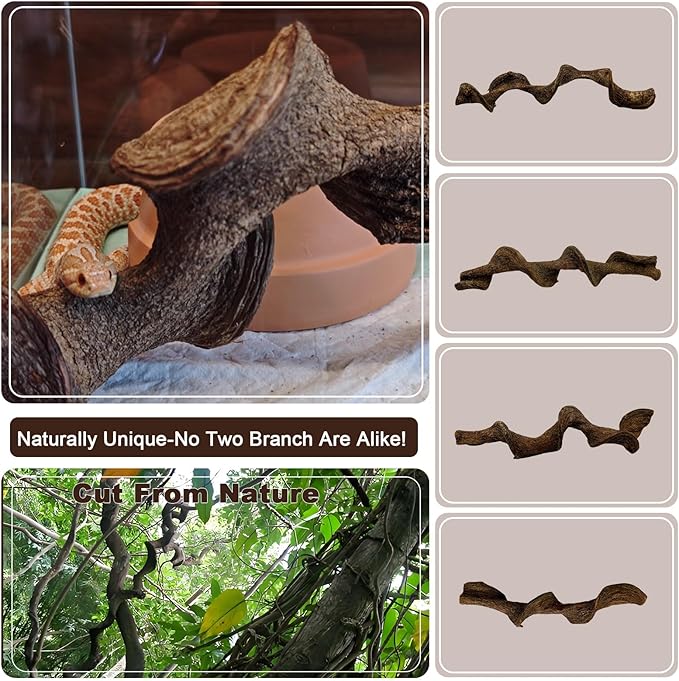 BNOSDM 2Pcs Reptile Climbing Branches Decor,Snake Climbing Branch,Gecko Climb Wood,Lizard Forest Branch,Tank Habitat Tree Trunk Decorations for Bearded Dragons,Chameleons,Spider,Frogs (M)