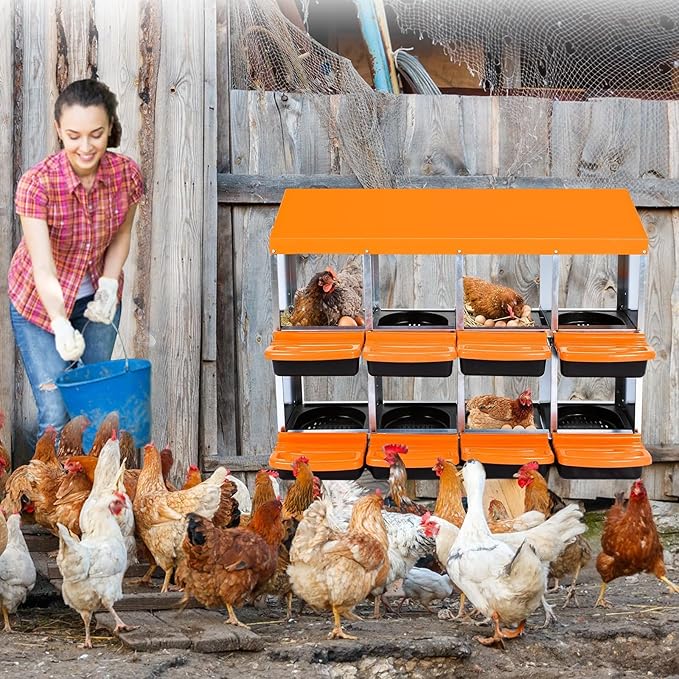 Chicken Nesting Boxes, 8 Hole Metal Chicken Laying Box with with Removable Trays and Roll Out Egg Collection for Chicken Coop, Orange
