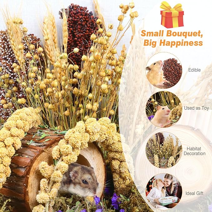 Natural Hamster Bedding, Hamster Herbs Flowers for Hamster Cage Enclosure Habitat Decor Hamster Sprays for Dwarf Syrian Guinea Hamsters Gerbil Degus or Other Small Animals（Grain Version）