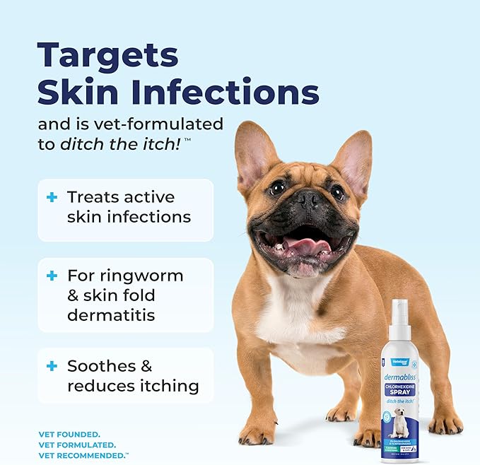 Vetnique Dermabliss Medicated Chlorhexidine Antiseptic Skin Spray for Dogs & Cats, Supports Skin Infections and Irritations 8oz