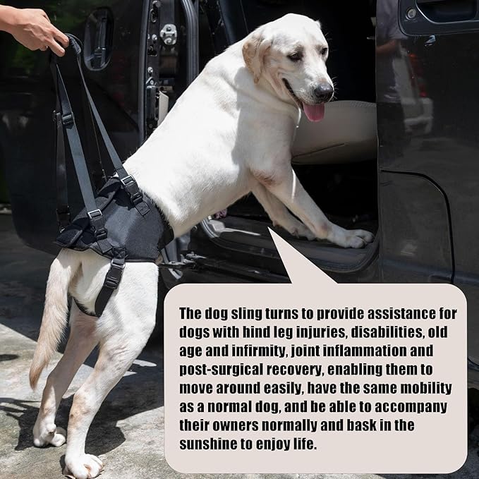 Dog Lift Harness for Dogs with Disabled Arthritis and Weak Back Legs, humanized Design with Comfortable Materials, Adjustable Back Legs and Straps, Suitable for Helping Dogs to Recover and Walk. (S)