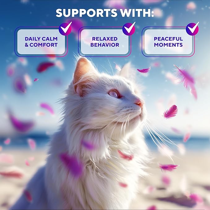 Calming Pheromone Spray & Scratch Repellent for Cats - Reduces Scratching Furniture, Pee - During Travel, Fireworks, Thunder, Vet Zone - Helps with Stress, Fighting, Hiding (100 ml (2 pack))