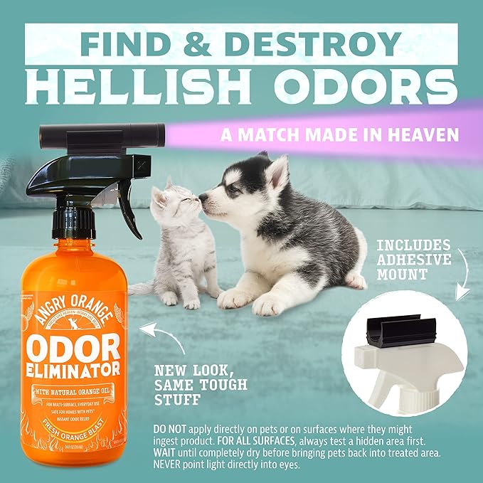 ANGRY ORANGE Pet Odor Eliminator Kit for Dog Urine - Citrus - 24 oz + UV Flashlight
