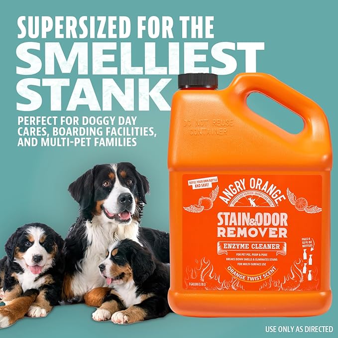 ANGRY ORANGE 1 Gallon Enzyme Cleaner and Deodorizer, Pet Stain and Odor Remover for Dog & Cat Urine and Stains - Citrus, Made in USA