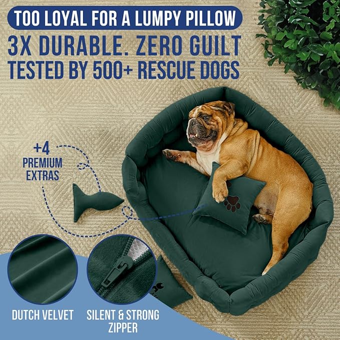 Luxury Dog Bed Chesterfield – Handcrafted Velvet Throne for Dogs | Joint Support, Calming & Temp-Regulating Comfort | Durable 5+ Years, Anti-Claw, Washable 100+ Times – L, Green