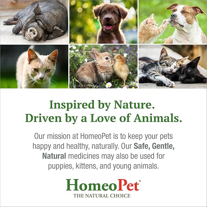 HomeoPet Feline UTI Plus, Safe and Natural Urinary Tract Supplement for Cats, Feline Urinary Tract Support, 15 Milliliters