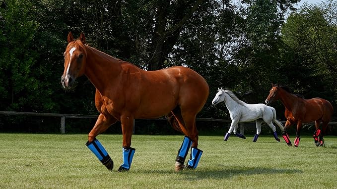 Warrior Fly Boots for Horses - Breathable Mesh Horse Boots for Fly Protection & Leg Comfort - Set of 4 (Knight Warrior, Red)