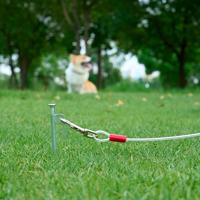 Amazon Basics Tie-Out Cable for Dogs up to 90 lbs, 25 feet, Set of 2, White