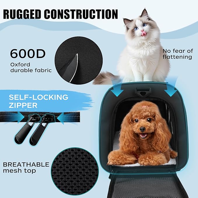 Carriers Soft-Sided Pet Carrier for Cats Dogs Under 15 lbs,TSA Airline Approved with 4 Ventilated Windows(Medium,Black)