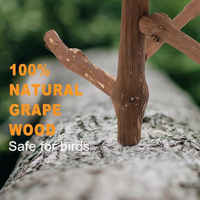 Bird Perch Stand Toy, Natural Grapevine Wood Parrot Perch Bird Cage Branch Accessories for Parakeets Cockatiels Conures Macaws Finches Love Birds(9.8" Length)