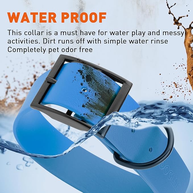 Dogline Biothane Waterproof Dog Collar Strong Coated Nylon Webbing with Black Hardware Odor- Proof for Easy Care Easy to Clean High Performance Fits Small Medium or Large Dogs, Cerulean Blue